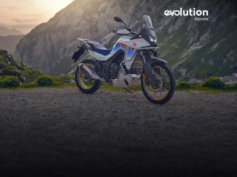 Full Banner 2 - Tablet